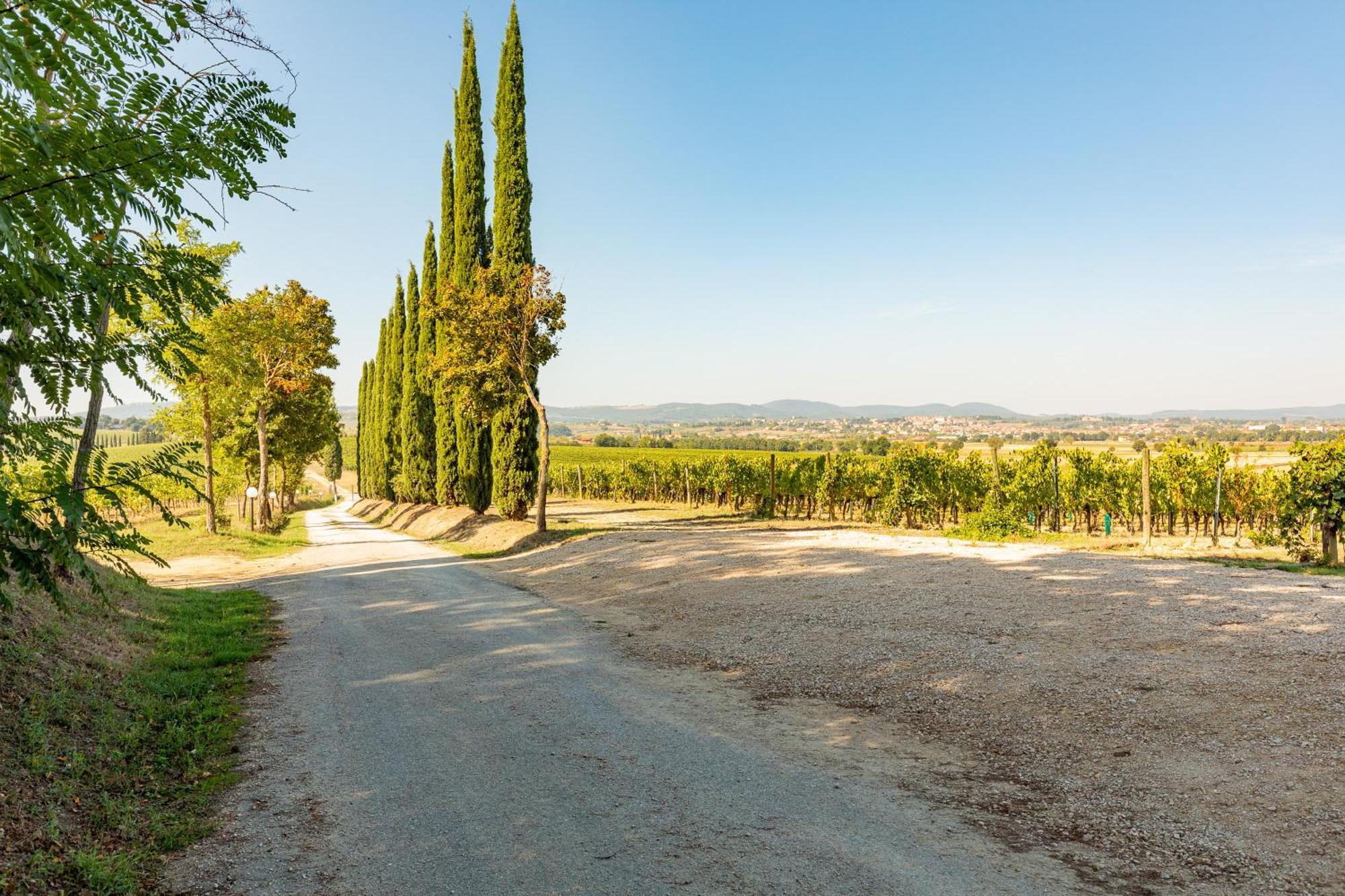 Vermentino Βίλα Montepulciano Stazione Εξωτερικό φωτογραφία