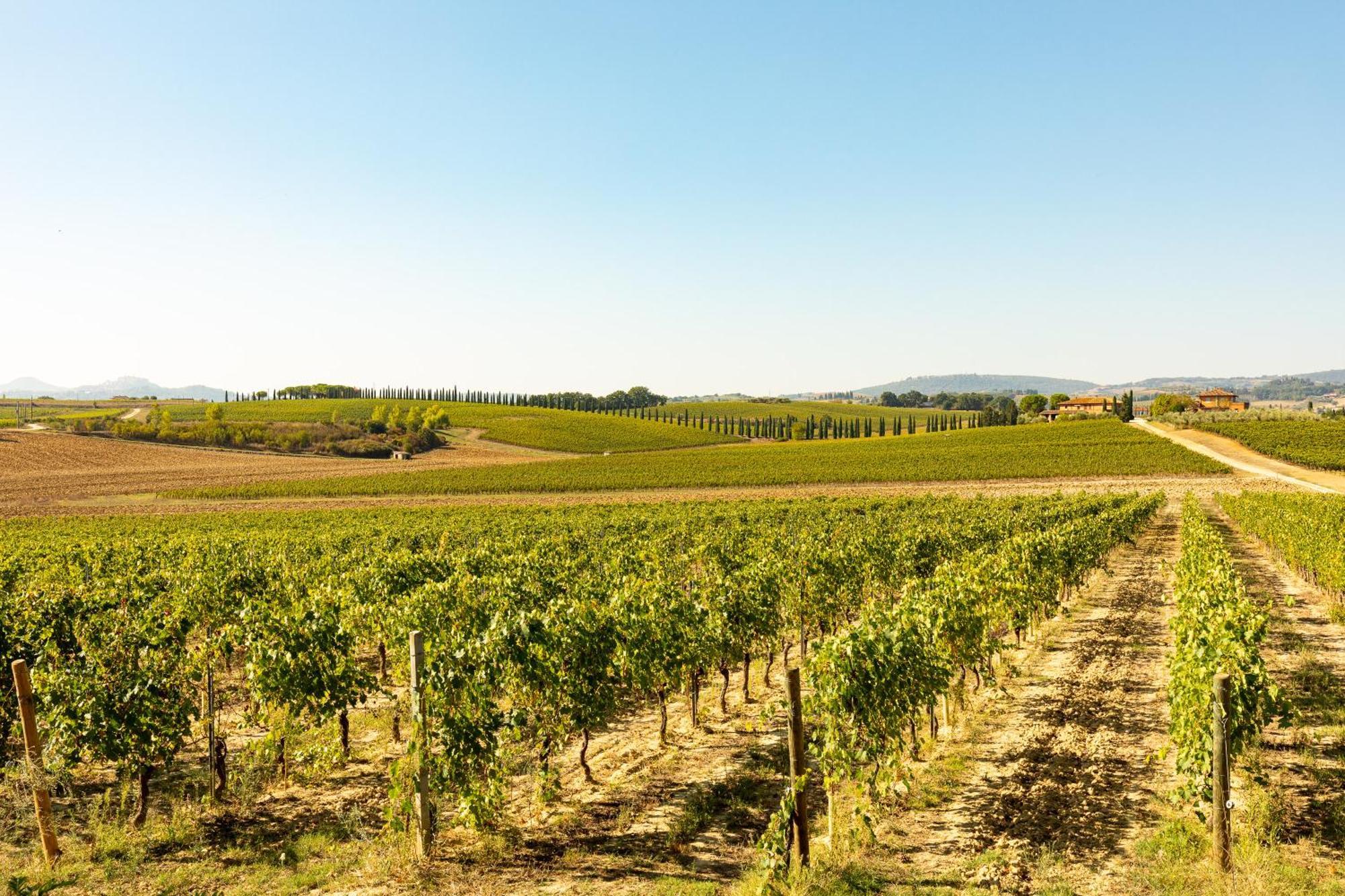 Vermentino Βίλα Montepulciano Stazione Εξωτερικό φωτογραφία