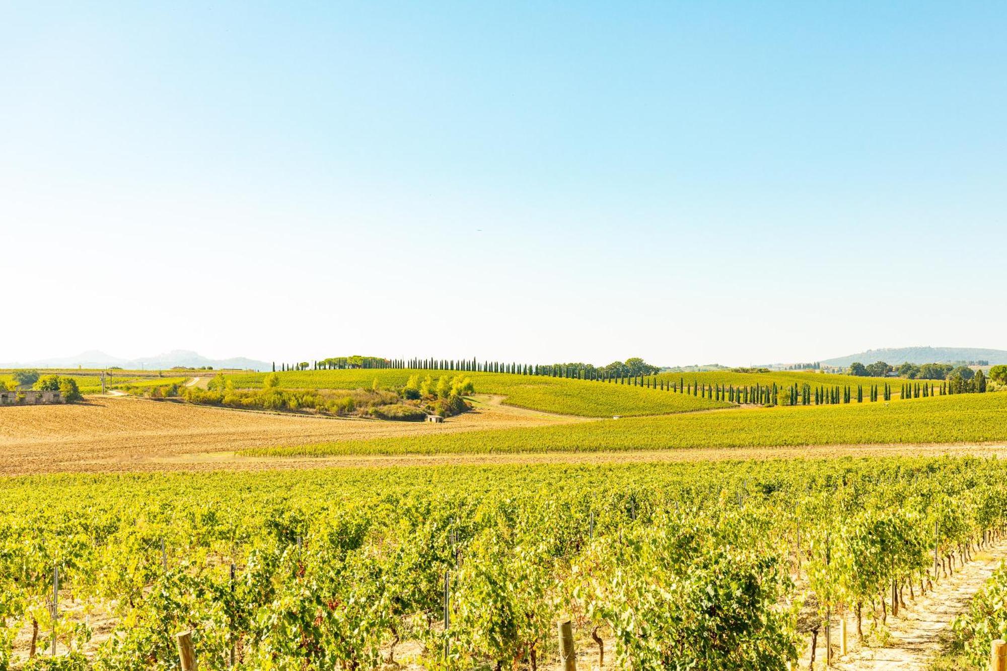 Vermentino Βίλα Montepulciano Stazione Εξωτερικό φωτογραφία