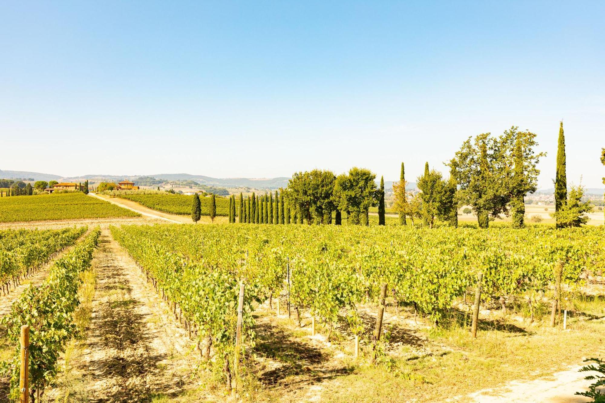 Vermentino Βίλα Montepulciano Stazione Εξωτερικό φωτογραφία